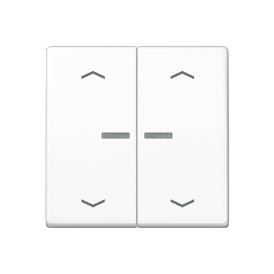 JUNG AS591-5KO5MPWW, rocker, 4011377990746