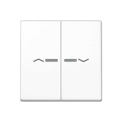 JUNG AS591-5KO5PWW, rocker, 4011377990784