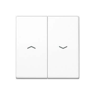 JUNG AS591-5PBFWW, rocker, 4011377991187