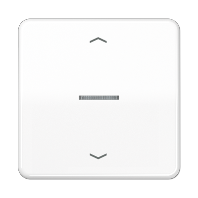 JUNG CD101KO5PWW, Rocker for push-button 1-gang, lens, arr, 4011377180833