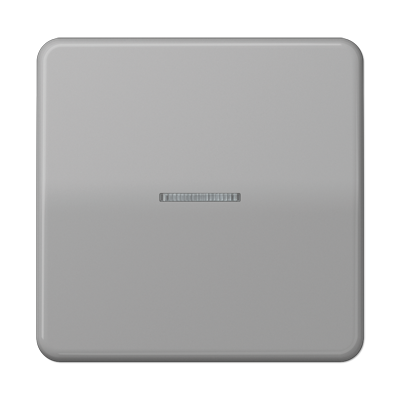 JUNG CD10911STRFGR, KNX RF centre plate 1-gang, 4011377194489