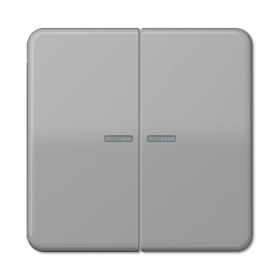 JUNG CD10921STRFGR, KNX RF centre plate 2-gang, 4011377194564