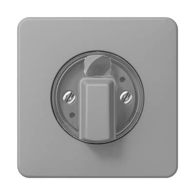 JUNG CD1541GR, centre plate, 4011377114098