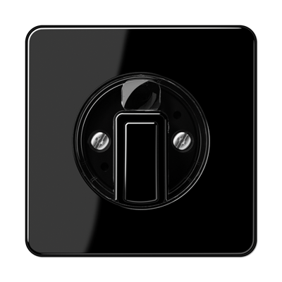 JUNG CD1541SW, centre plate, 4011377114128