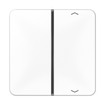 JUNG CD401TSAPWW, Cover 1-gang with symbols, 4011377037434