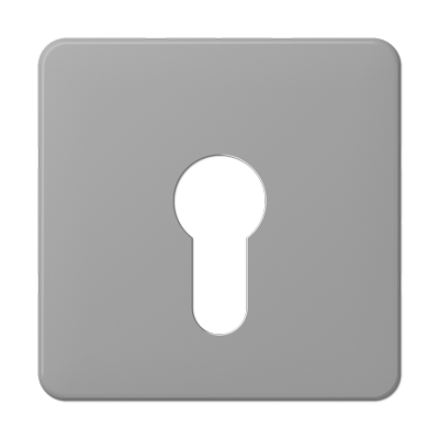 JUNG CD525GR, cover plate, 4011377043565