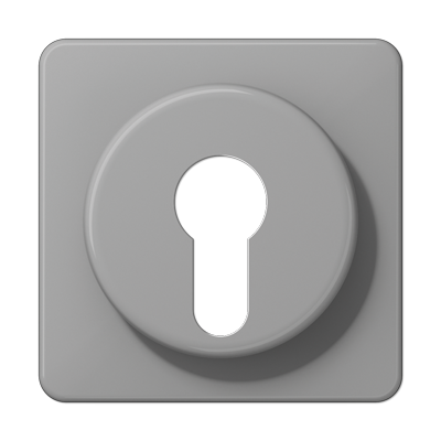 JUNG CD528GR, Cover For Key Switch, 4011377033603