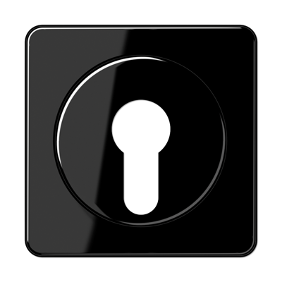 JUNG CD528SW, Cover For Key Switch, 4011377034006