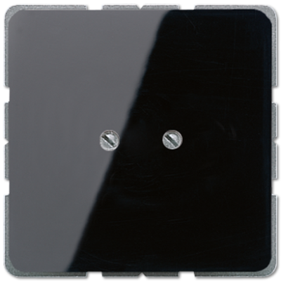 JUNG CD561BSW, Blank Plate, Black, 4011377040205