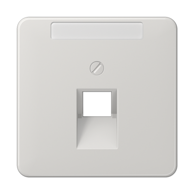 JUNG CD569-1NAUALG, center pl.f.1-gang mod. jack&inscrip.pl., 4011377685505