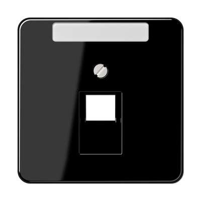 JUNG CD569-1NAUASW, center pl.f.1-gang mod. jack&inscrip.pl., 4011377685703