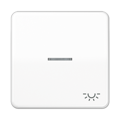 JUNG CD590KO5LWW, 1-gang rocker w.symbol light&trans. lens, 4011377253551