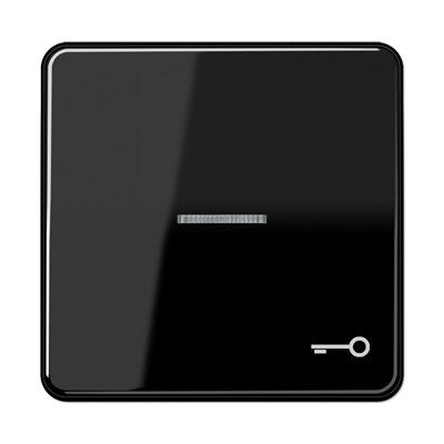 JUNG CD590KO5TSW, 1-gang rocker w. symbol door"/trans.lens, 4011377256156