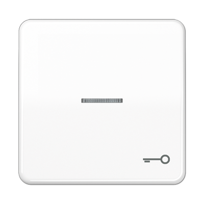 JUNG CD590KO5TWW, 1-gang rocker w. symbol door"/trans.lens, 4011377255555