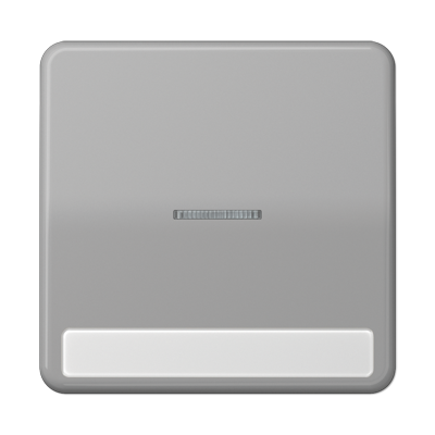 JUNG CD590NAKO5GR, 1-gang rocker w.transp lens&inscr. plate, 4011377210158