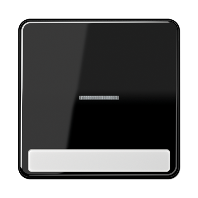 JUNG CD590NAKO5SW, 1-gang rocker w.transp lens&inscr. plate, 4011377210455