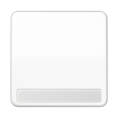 JUNG CD590NAWW, 1-gang rocker with inscription plate, 4011377068605