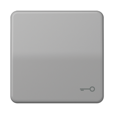JUNG CD590TGR, 1-gang rocker w.symbol door, 4011377069701