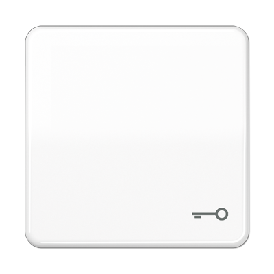 JUNG CD590TWW, 1-gang rocker w.symbol door, 4011377070301