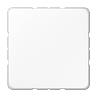 JUNG CD594-0WW, blank centre plate for snap-on fixing, 4011377412903