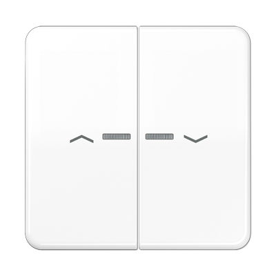 JUNG CD595KO5PWW, Rocker, 4011377218352