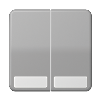 JUNG CD595NAGR, 2-gang rocker with insscription plate, 4011377976207