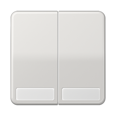 JUNG CD595NALG, 2-gang rocker with insscription plate, 4011377976405