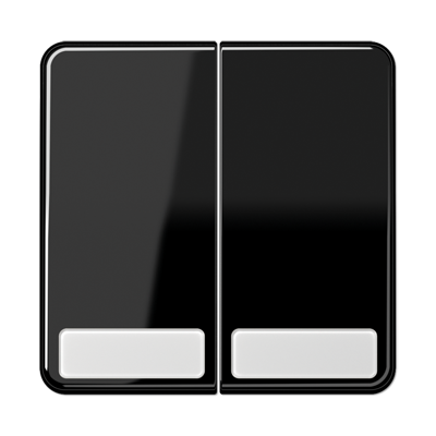 JUNG CD595NASW, 2-gang rocker with insscription plate, 4011377976603