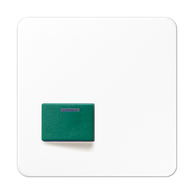 JUNG CD642CWW, Cover plate for Ackermann, 4011377852402