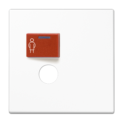 JUNG LS071BWW, Cover plate for Ackermann, 4011377087156