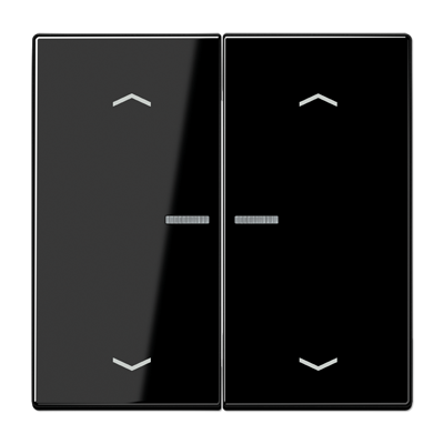 JUNG LS102KO5PSW, Rocker for push-button 2-gang, lens, arr, 4011377181939