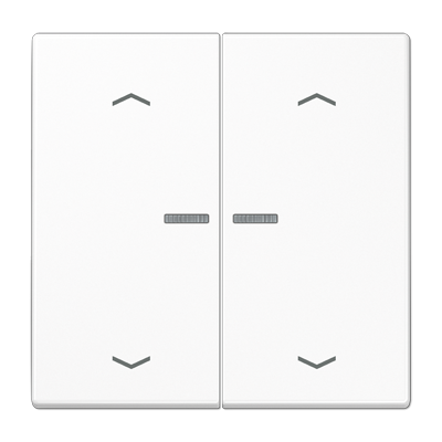 JUNG LS102KO5PWW, Rocker for push-button 2-gang, lens, arr, 4011377181915