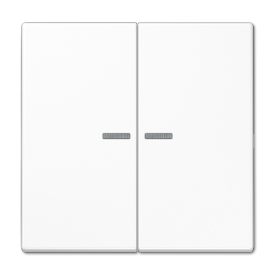 JUNG LS10921STRFWW, KNX RF centre plate 2-gang, 4011377194724