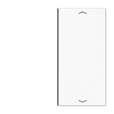 JUNG LS402TSAPWW, Cover 2-gang with symbols, 4011377044326