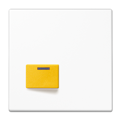 JUNG LS642DWW, Cover plate for Ackermann, 4011377086159