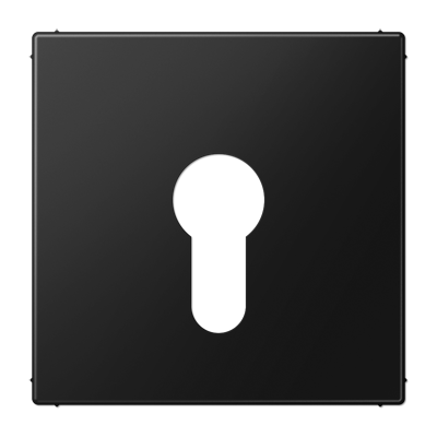 JUNG LS925SWM, centre plate f. key switch, 4011377205741