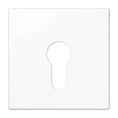 JUNG LS925WW, centre plate f. key switch, 4011377258952