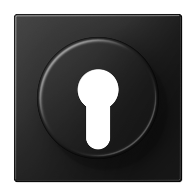 JUNG LS928SWM, centre plate f. key switch, 4011377205734