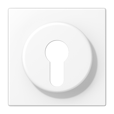 JUNG LS928WWM, centre plate f. key switch, 4011377204287