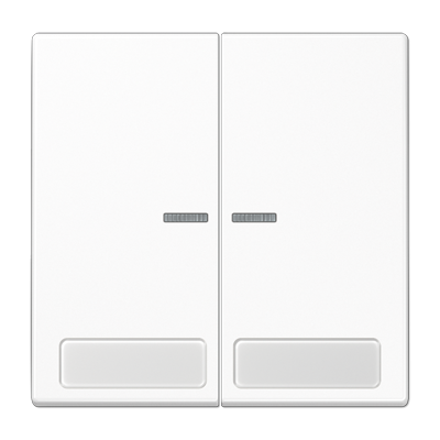 JUNG LS995NAKO5WW, 2-gang rocker with lens and inscriptions, 4011377051614