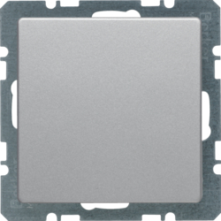 Berker 10096084, Blind plug with centre plate, 4011334442615