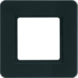Berker 10116176, Frame 1g Q7 glass black for illumination, 4011334502395