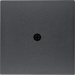 Berker 10191606, CENTRE PLATE B.1 ANTHRACIT, 4011334220213