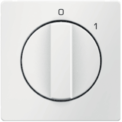 Berker 11506089, Z-ST M KNL F KS Q.1 P-W, 4011334314059