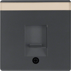 Berker 11706086, Plate/Dust Protect/Label, Anthracite, 4011334379973