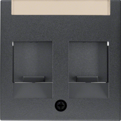 Berker 11811606, Centre Plate, 2 Slider, Anthracite Matt, 4011334221234