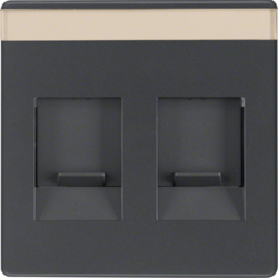 Berker 11816086, 2G Plate/Dust Protect/Label, Anthracite, 4011334379997