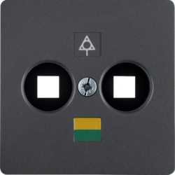 Berker 14031606, CENTRE PLATE ANTHRACI, 4011334228066