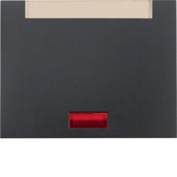 Berker 14157106, WIP M LN U BSF ANTH MATT LACK, 4011334297451