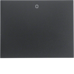 Berker 14257106, WIP M AD "0" K.1 ANTH MATT LACK, 4011334297413